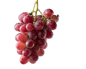 Fototapeta premium bunch of red grapes