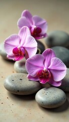 Fototapeta premium Orchid blossoms and grey river stones on a soft, fawn-colored surface , texture, serenity, calm