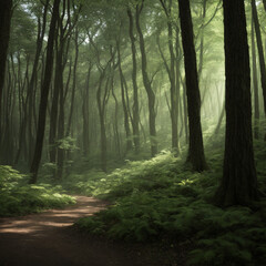 Obraz premium Into the Heart of the Woods