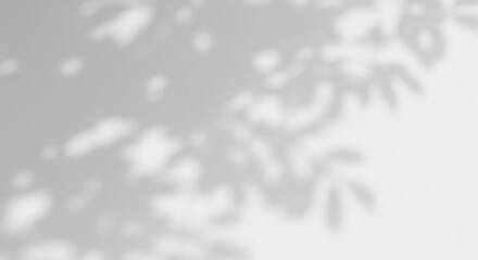 Obraz premium shadow background
