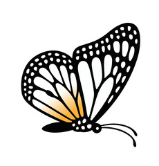 Monarch Butterfly Vector Illustration