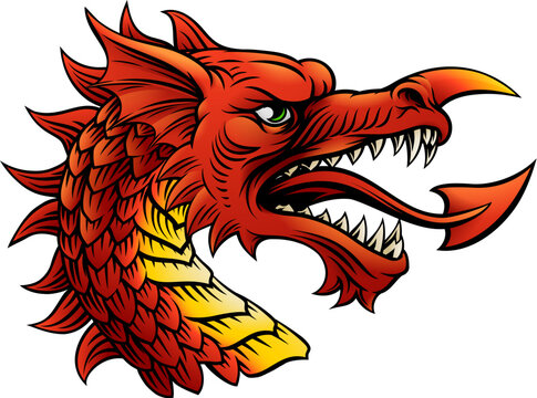 Welsh Dragon head, symbol of Wales, an original heraldic illustration in a retro woodcut etching vintage style