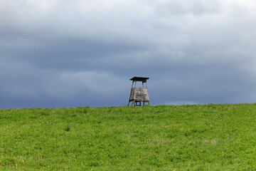 A lonely hunting stand.