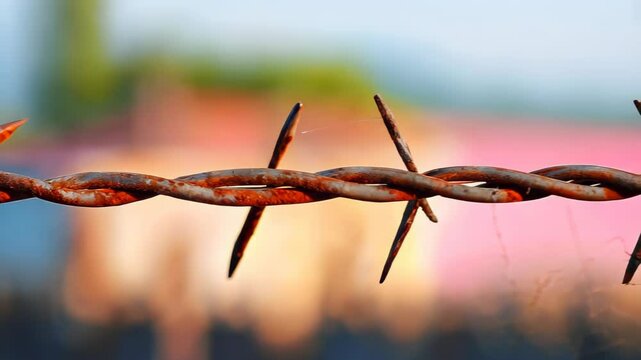 This image features a close-up of rusty barbed wire fencing set against a beautifully blurred natural background, highlighting decay and texture.
