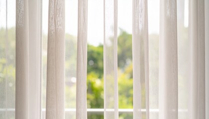 窓辺の美しい植物