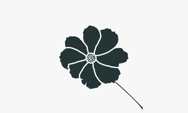 cosmos flower isolated on a white background, cosmos fower, vector flower design, cosmos fower design, beautiful flower vector