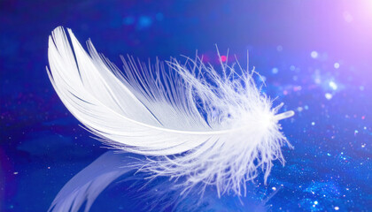 Obraz premium Delicate White Feather on Shimmering Blue Surface with Soft Glow