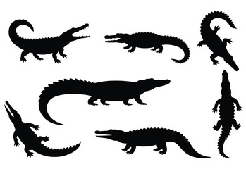 Alligator and crocodile silhouette. Crocodile silhouette on a white background.