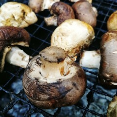 Mushrooms grilling on outdoor barbecue grat. Fresh mushrooms are cooking on a metal grill over coals outdoors. Ideal campfire or picnic food during barbecue season.
