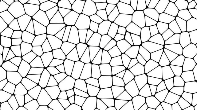 Abstract polygonal cell pattern black on white