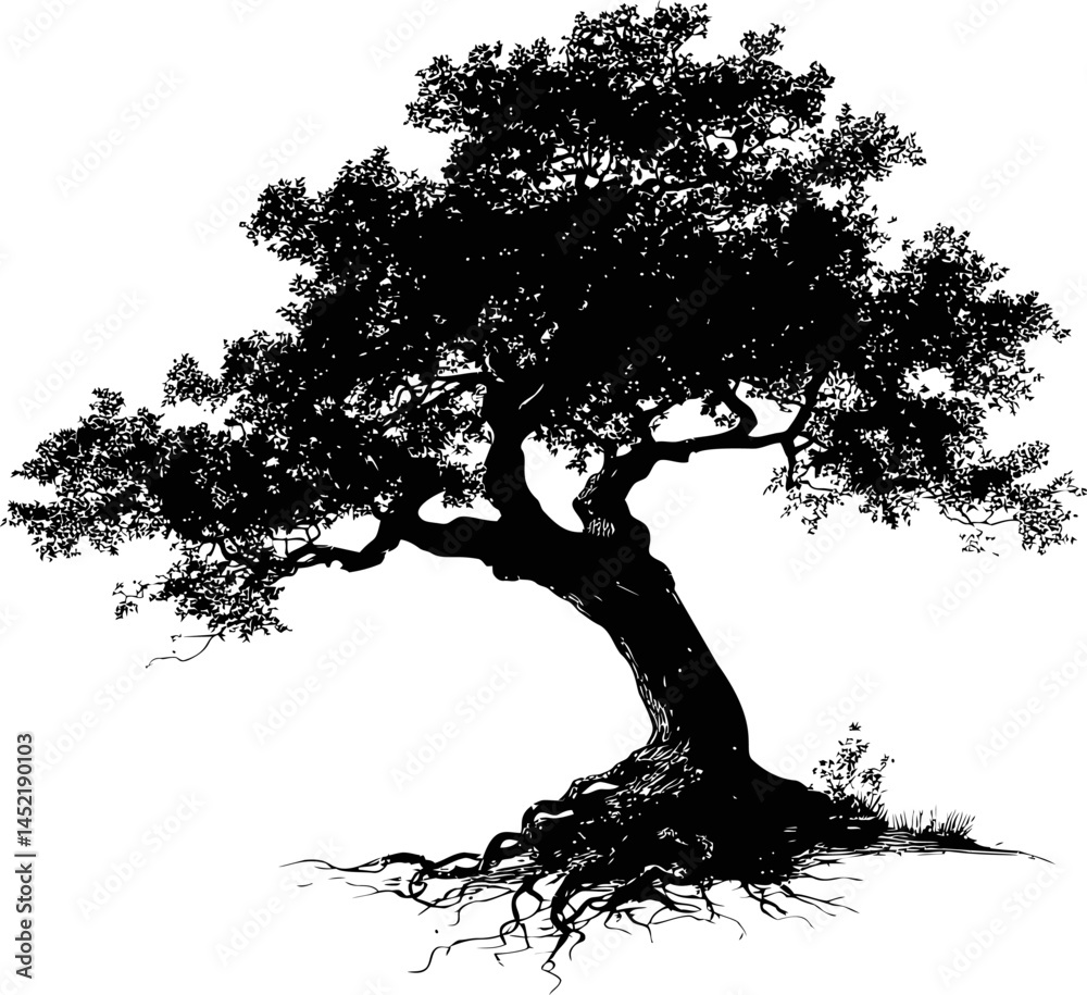 Poster silhouette of a large oak tree with spreading branches. vector illustration.