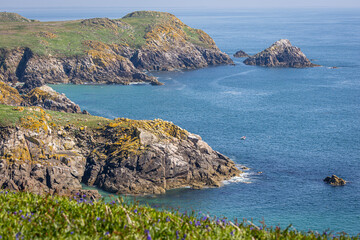 Scenic Coastline of Saltee Island, County Wexford, Ireland