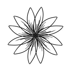 Flower line art,minimalist flower sketch