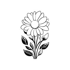 Elegant floral illustration of a stylized daisy with intricate leaf details