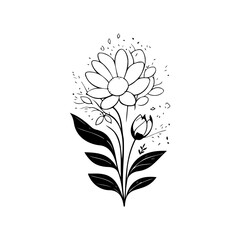Elegant daisy bloom sketch with botanical embellishments on a crisp white backdrop