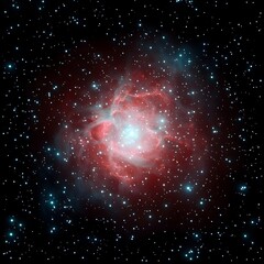 A Stunning View of the Rosette Nebula A Celestial Rose in Space Deep Space