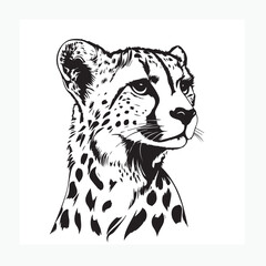 leopard vector illustration