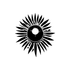 Abstract vector graphic: Radial burst pattern resembling a stylized sun design