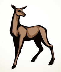 Beautiful female deer. Vector drawing