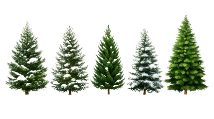 Isolated collection of evergreen coniferous trees on transparent background