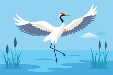 Obraz premium swan on the lake