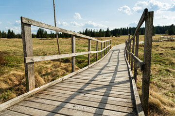 Fototapeta premium Wooden footpath running through Bozi Dar peat bog trail in Bozi Dar, Czech Republic