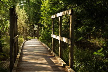 Wooden footpath running through Bozi Dar peat bog trail in Bozi Dar, Czech Republic