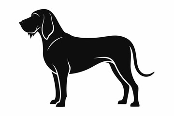 Fototapeta premium bloodhound sihouette black vector
