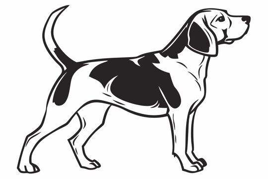 beagle sihouette black vector