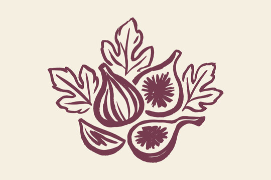 fig fruit and leaves, burgundy line art clip art preview