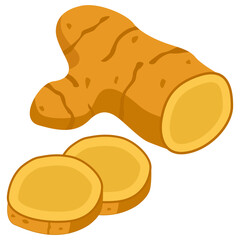 Illustration of Fresh Ginger Root