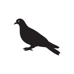 Obraz premium Pigeon Bird Black Silhouette Vector Illustration