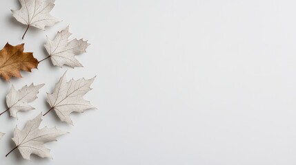 Obraz premium Autumn Leaves on a Light Background for Creative Design Projects