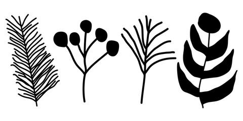 Minimalist design of three different floral elements in black against a white background. Branch with thin, linear leaves extends upwards.