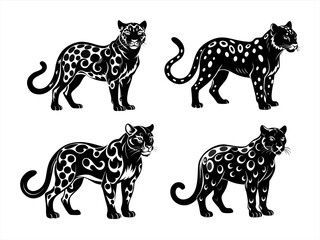 clouded leopard sihouette black vector bundle