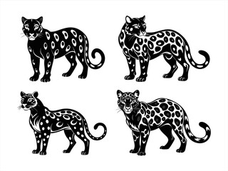 clouded leopard sihouette black vector bundle