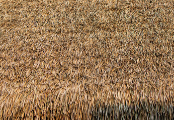 A brown straw roof with a lot of straw on it