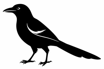 magpie sihouette black vector
