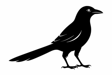 magpie sihouette black vector