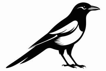 magpie sihouette black vector