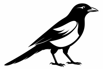 magpie sihouette black vector