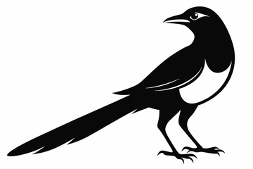 magpie sihouette black vector