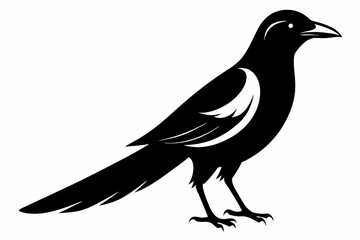 magpie sihouette black vector