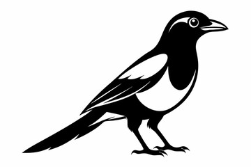 magpie sihouette black vector
