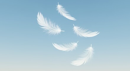 Ethereal White Feathers Gently Drifting on Soft Blue Gradient Background in Subtle Graceful Swirling Motion Symbolizing Peace and Purity for Decoration