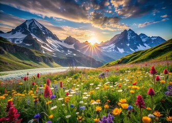 Breathtaking Alpine Meadow Wildflowers, Snow-capped Peaks, Sunny Sky - Nature Stock Photo