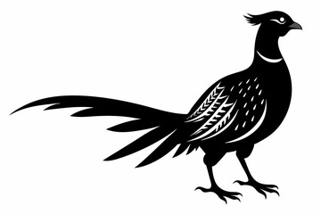 Fototapeta premium pheasant sihouette black vector