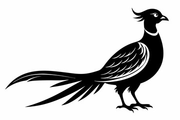 Fototapeta premium pheasant sihouette black vector