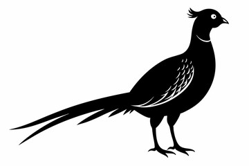 pheasant sihouette black vector
