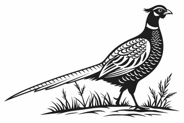 pheasant sihouette black vector